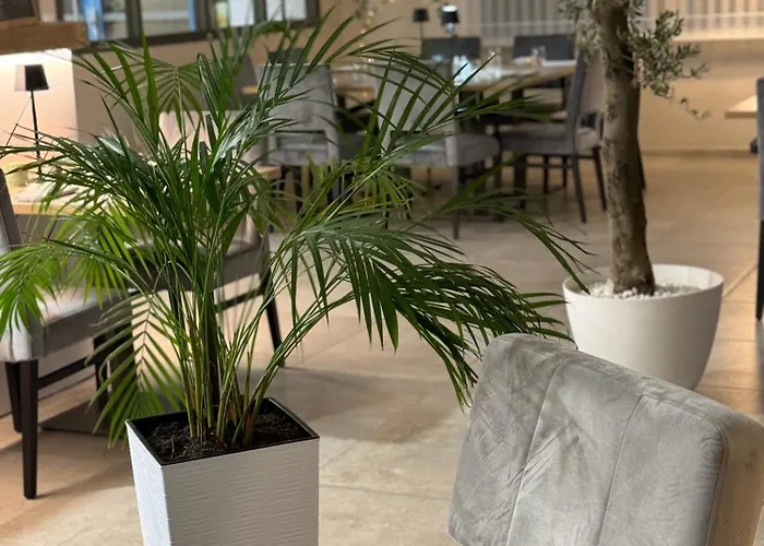 Du Commerce-restaurant Au Couteau ホテル 3*